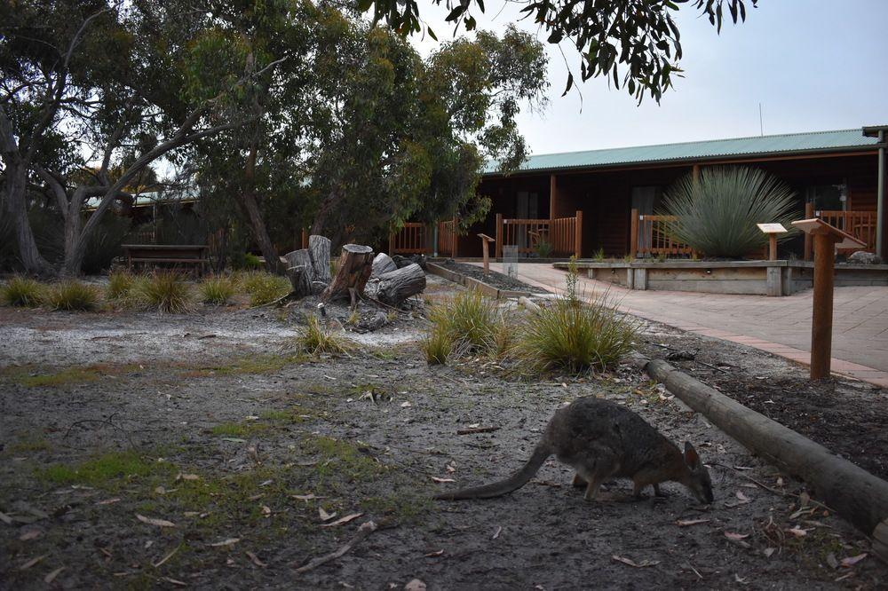 Kangaroo Island Wilderness Retreat Flinders Chase Экстерьер фото