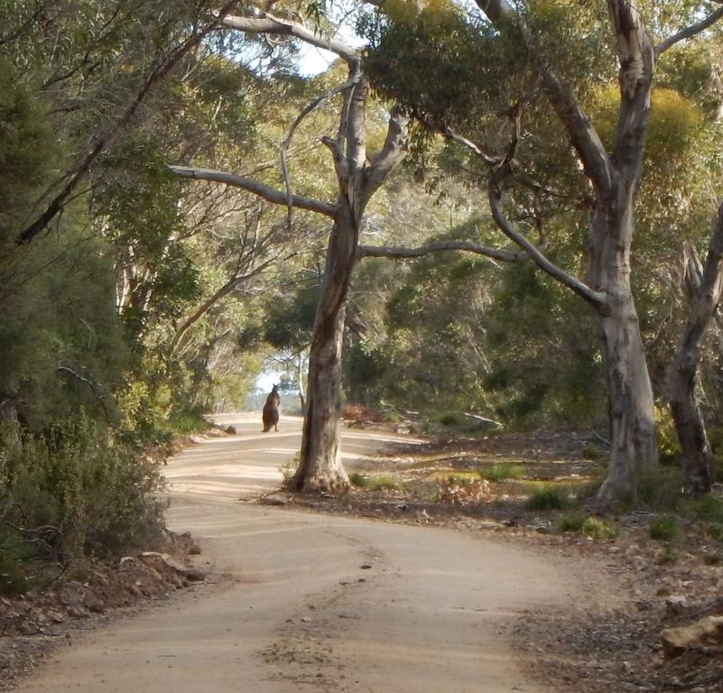 Kangaroo Island Wilderness Retreat Flinders Chase Экстерьер фото