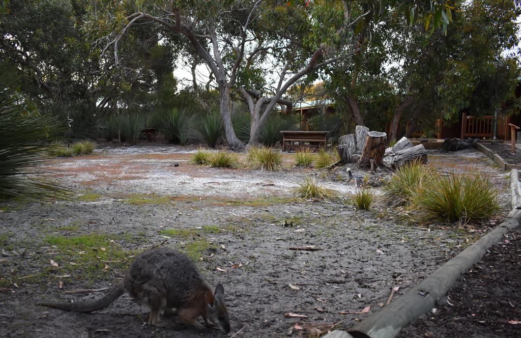 Kangaroo Island Wilderness Retreat Flinders Chase Экстерьер фото