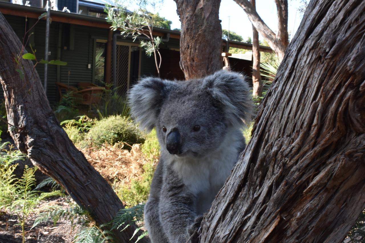 Kangaroo Island Wilderness Retreat Flinders Chase Экстерьер фото