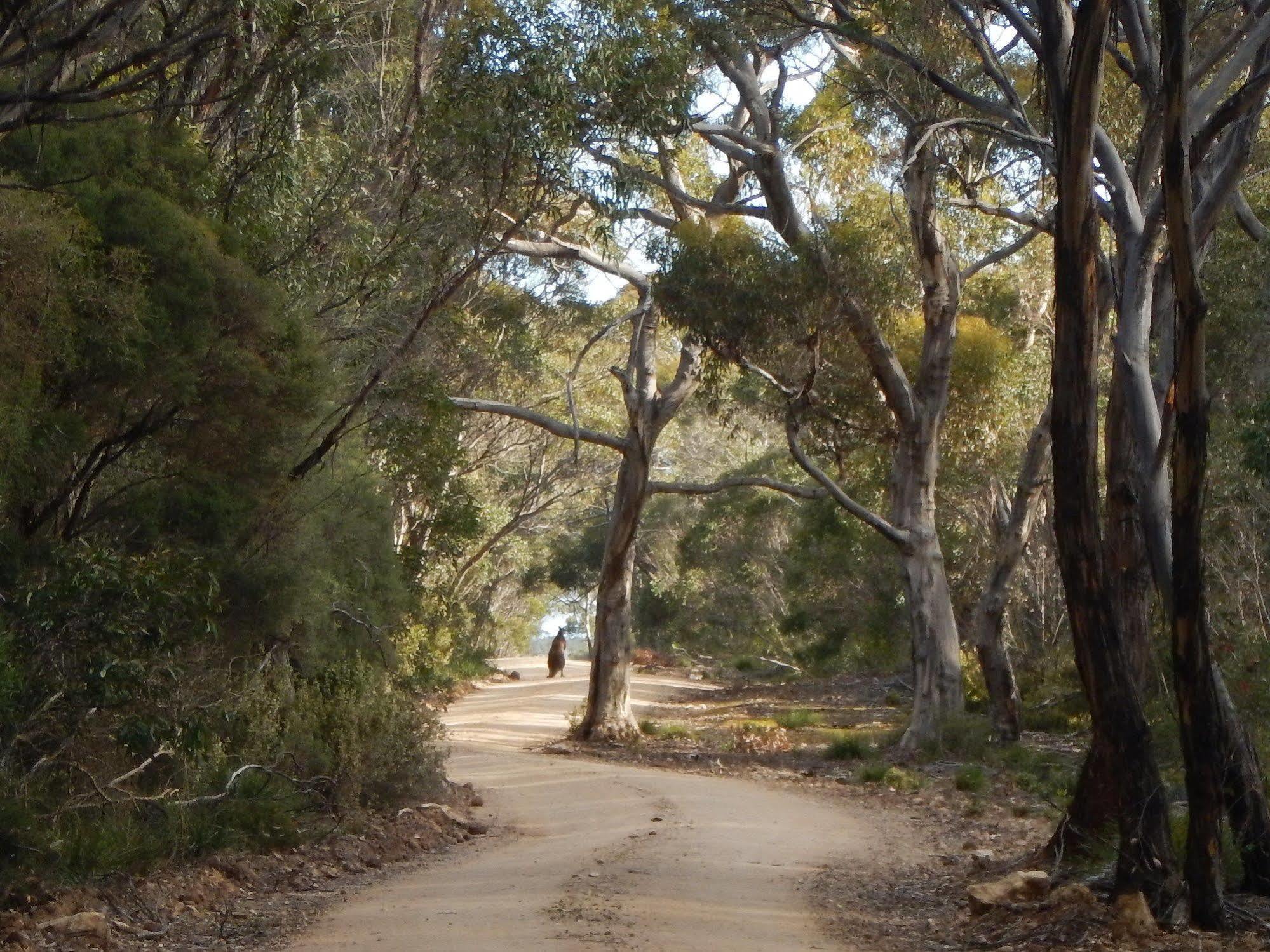 Kangaroo Island Wilderness Retreat Flinders Chase Экстерьер фото