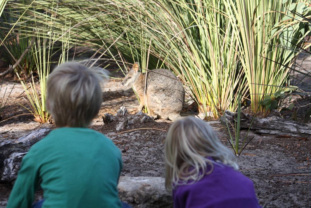 Kangaroo Island Wilderness Retreat Flinders Chase Экстерьер фото
